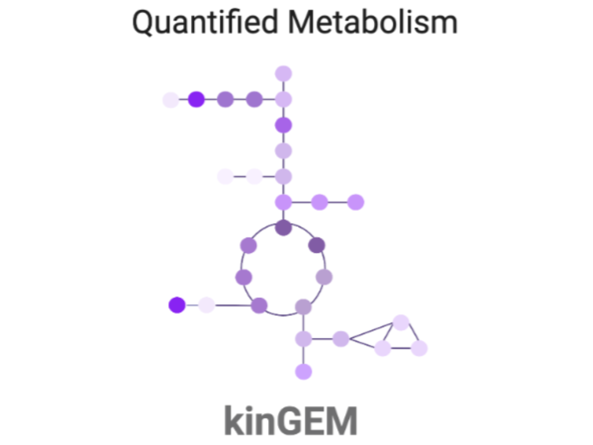 kinGEMs: A scalable framework for resource-constrained models through stochastic tuning of deep learning-predicted kinetic parameters