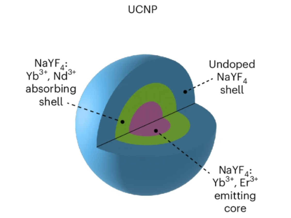 Gradient-based optimization of complex nanoparticle heterostructures enabled by deep learning on heterogeneous graphs